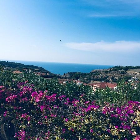 Pissouri Villa Miramar Екстериор снимка